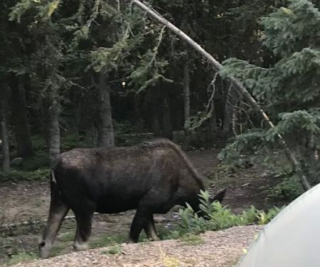 Crags Campground Complex