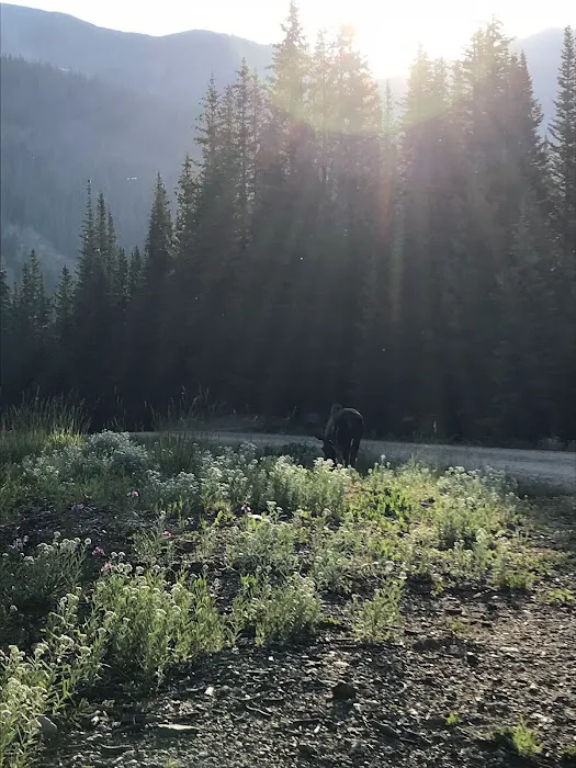 Crags Campground Complex Picture 3