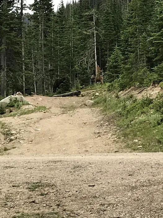 Crags Campground Complex Picture 7