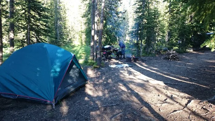 Yellowjacket Lake Campground Picture 4