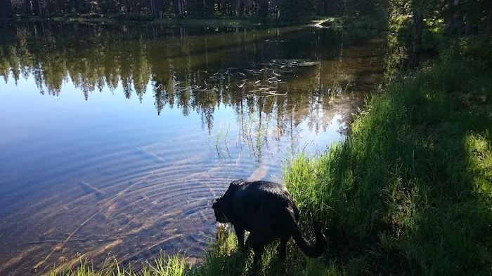 Yellowjacket Lake Campground Picture 5