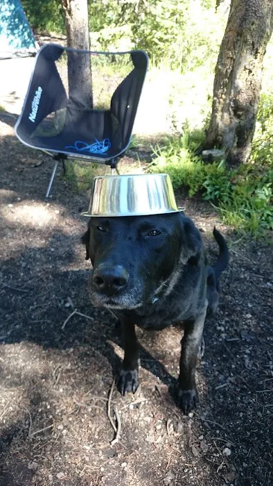 Yellowjacket Lake Campground Picture 8