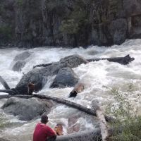 Rattlesnake Creek Campground ico