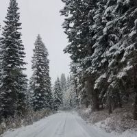 Lost Valley Reservoir Camping Area ico