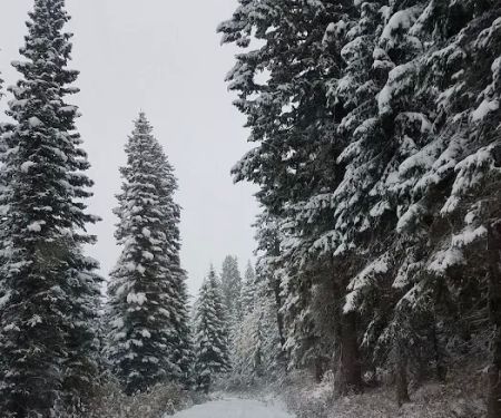 Lost Valley Reservoir Camping Area