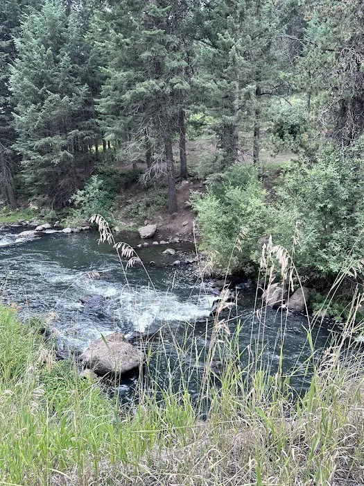 Lost Valley Reservoir Camping Area Picture 4
