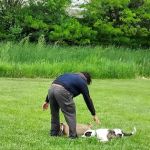 Suburban Estates Mobile Home