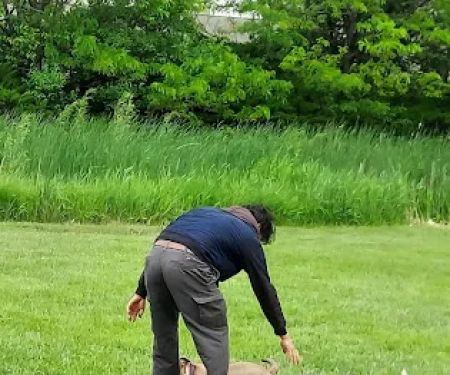 Suburban Estates Mobile Home