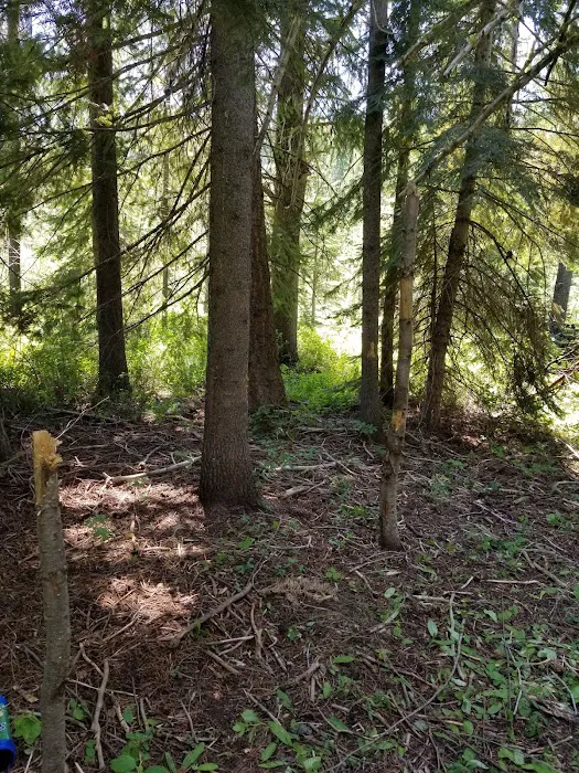 COLD SPRINGS CAMPGROUND Picture 7