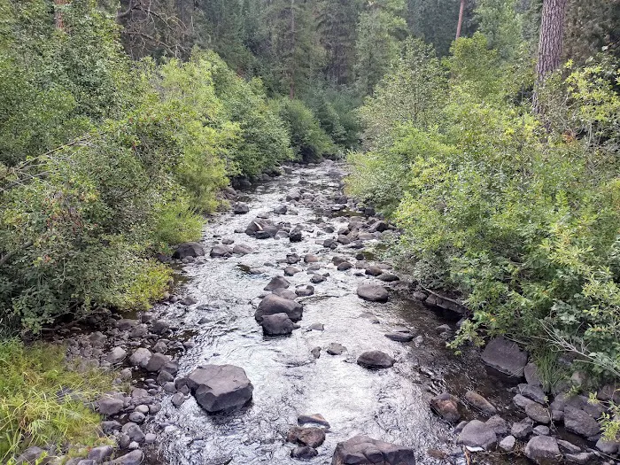 Evergreen Picnic Site and Campground Picture 5
