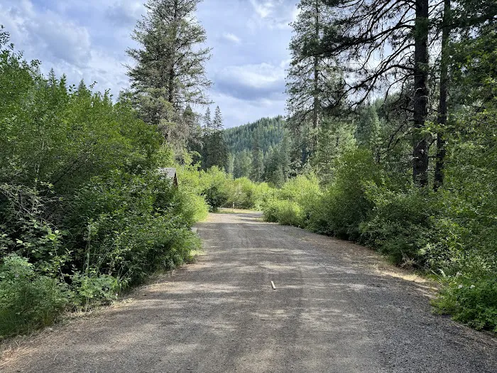 Evergreen Picnic Site and Campground Picture 4