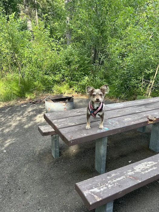 Evergreen Picnic Site and Campground Picture 8