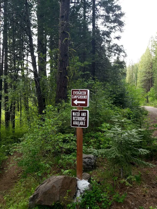 Evergreen Picnic Site and Campground Picture 2