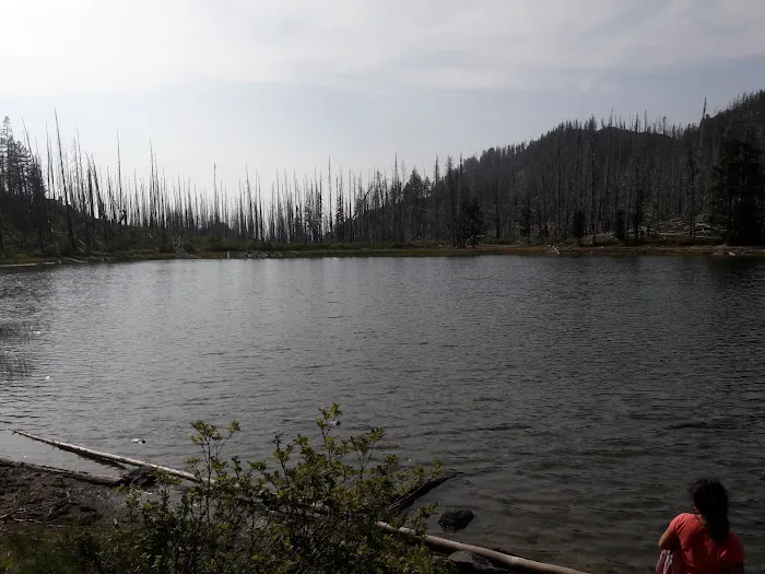 Summit Lake Campground Picture 2