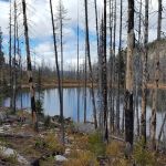 Summit Lake Campground