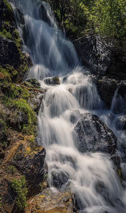 Summit Lake Campground Picture 4