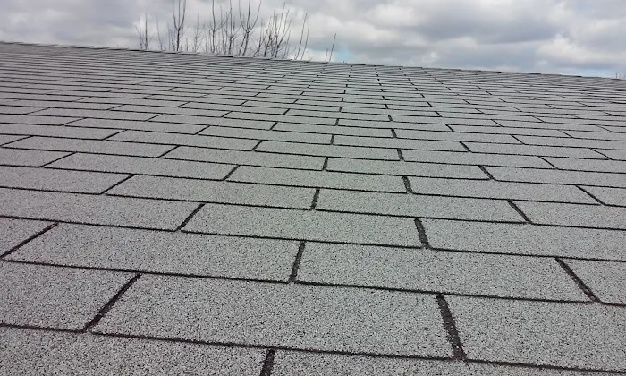 Briarwood & Briarcreek Mobile Picture 4