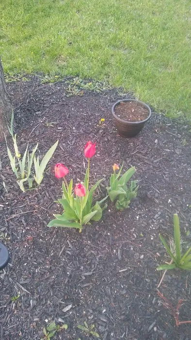 Briarwood & Briarcreek Mobile Picture 5