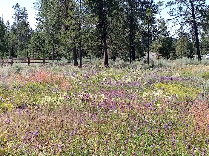 City Of Donnelly Campground Picture 9