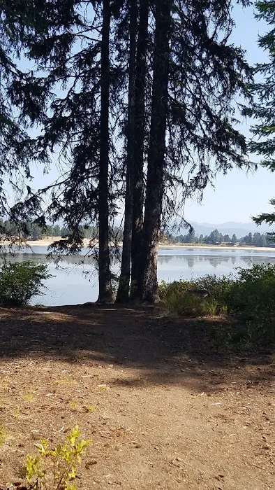 Rainbow Point Campground Picture 7
