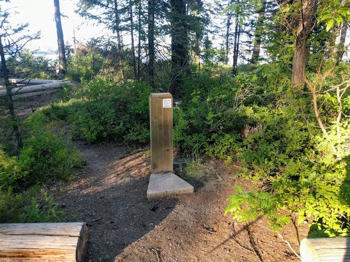 Rainbow Point Campground Picture 10