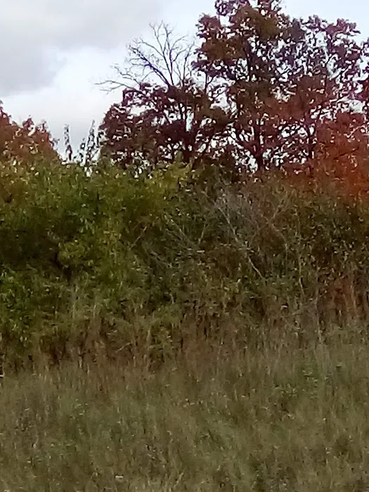Cider Mill Crossings Picture 6