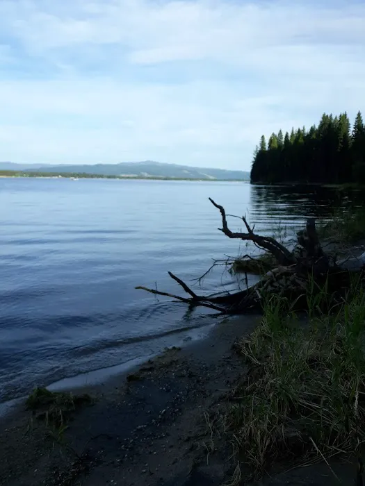 Amanita Campground Picture 3