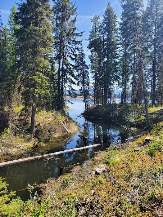 Amanita Campground Picture 10