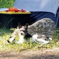 Lafferty Campground ico
