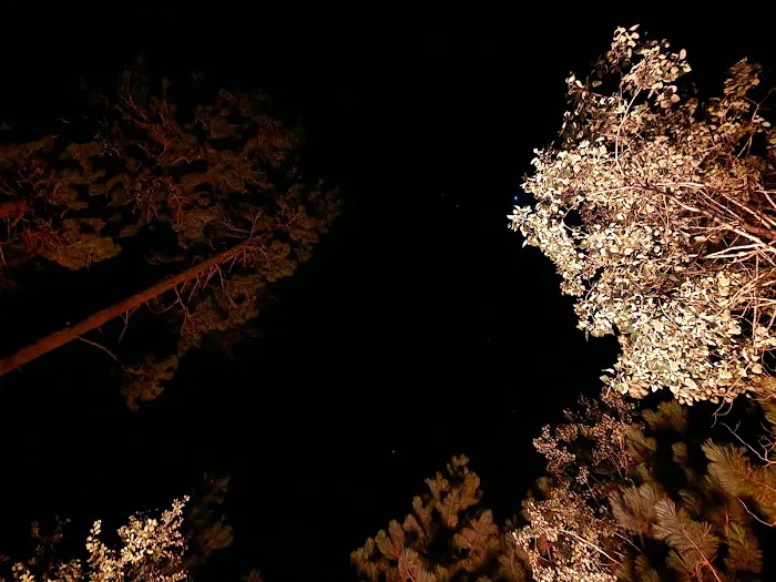 Lafferty Campground Picture 3