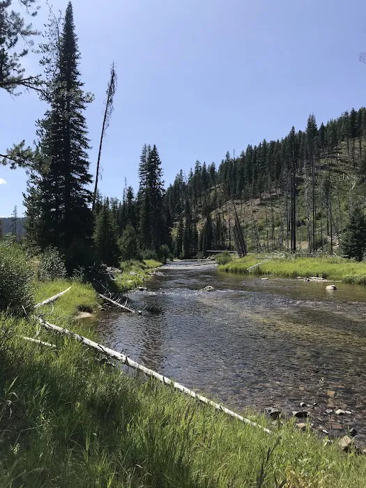 South Fork Salmon River Campground Picture 8