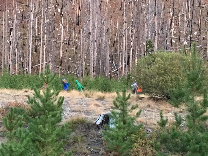 South Fork Salmon River Campground Picture 9