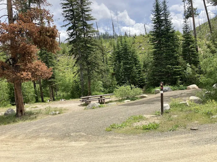 South Fork Salmon River Campground Picture 6