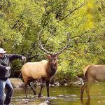 Pen Basin Campground