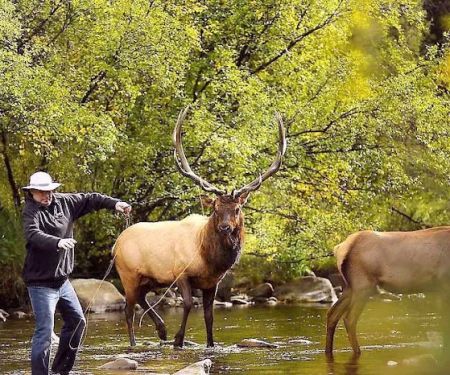 Pen Basin Campground