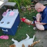 Big Trees Mobile Home Community