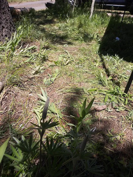 Camp Ee-Da-How Picture 6