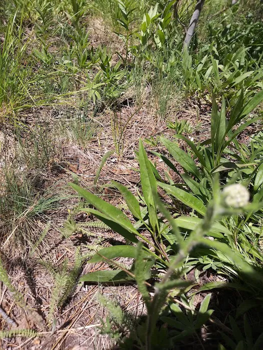 Camp Ee-Da-How Picture 5