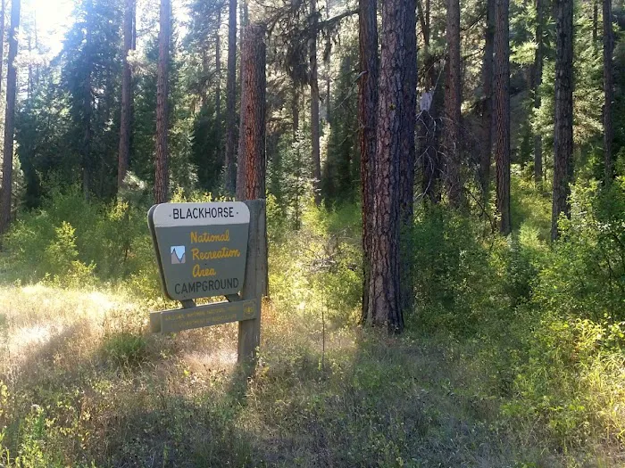 Blackhorse Campground Picture 10