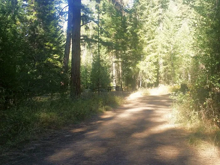 Blackhorse Campground Picture 8