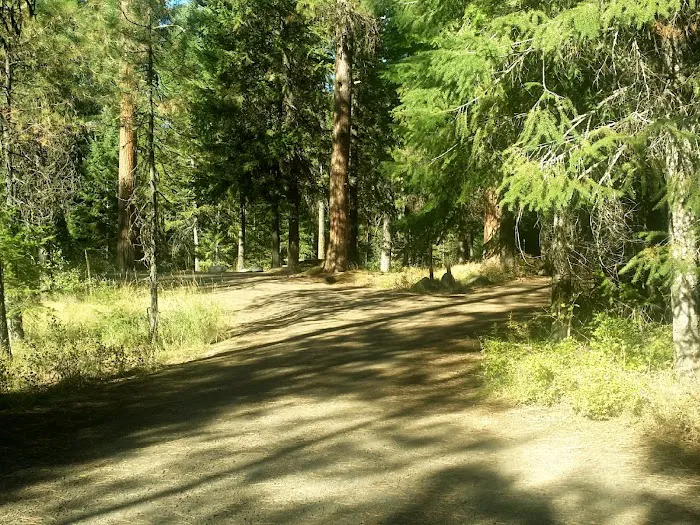 Blackhorse Campground Picture 9