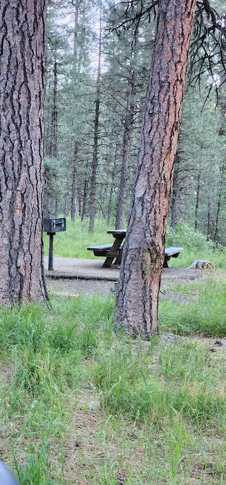 Ollokot Campground Picture 1