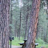 Ollokot Campground ico