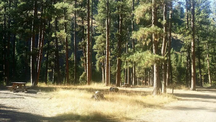 Ollokot Campground Picture 2