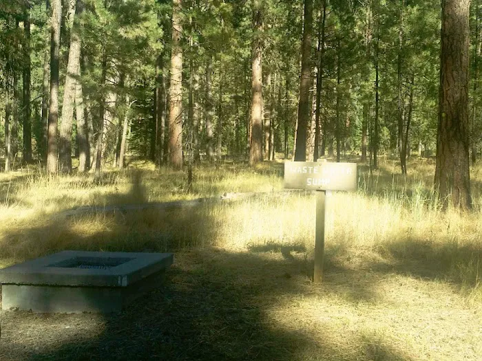 Ollokot Campground Picture 9