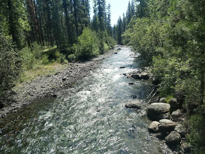 Ollokot Campground Picture 10