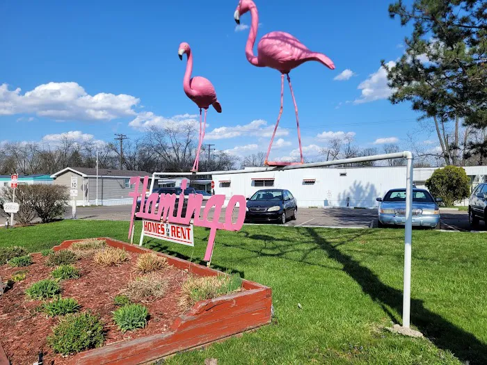 Elevate Flamingo MHC Picture 1