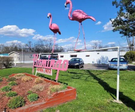 Elevate Flamingo MHC