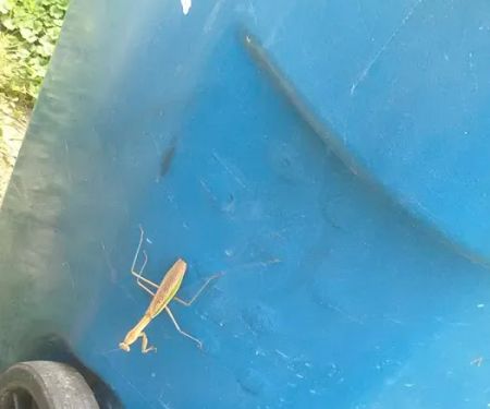 Farmington Hills Mobile Manor