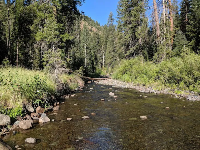 Lake Fork Campground Picture 1